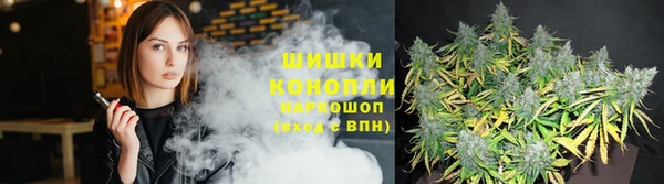 2c-b Богданович