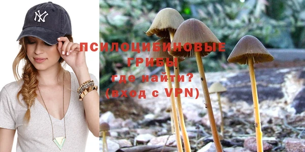 MESCALINE Богородицк